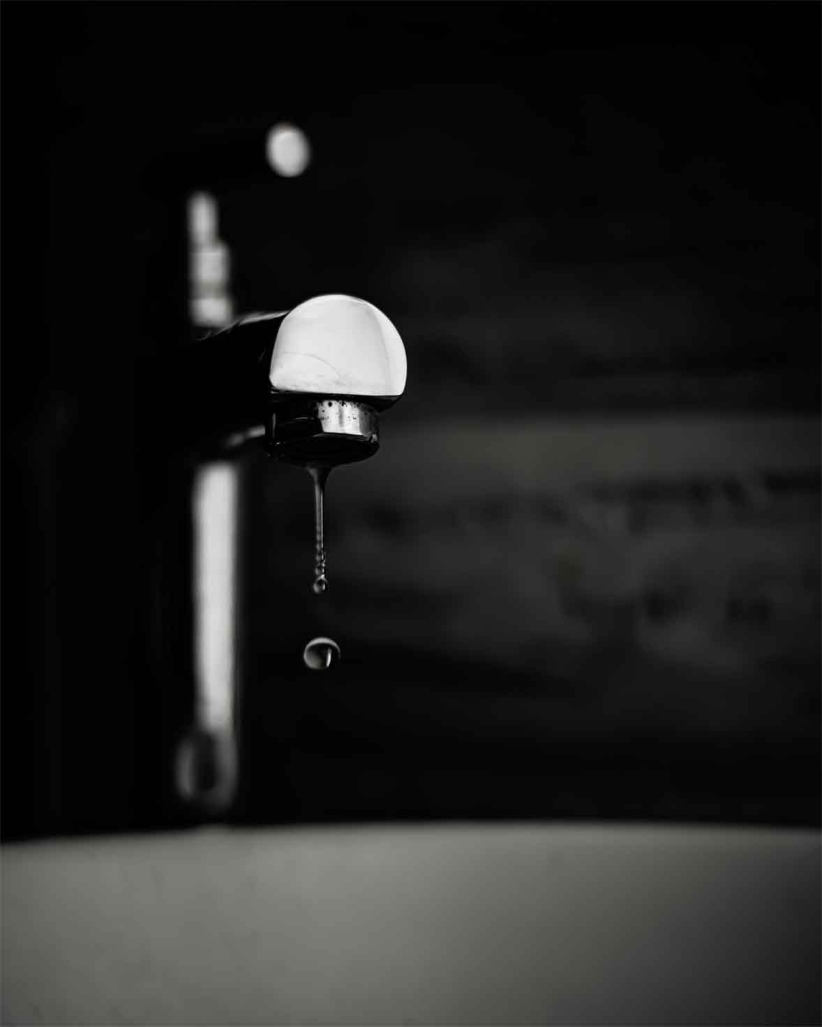 photo of something